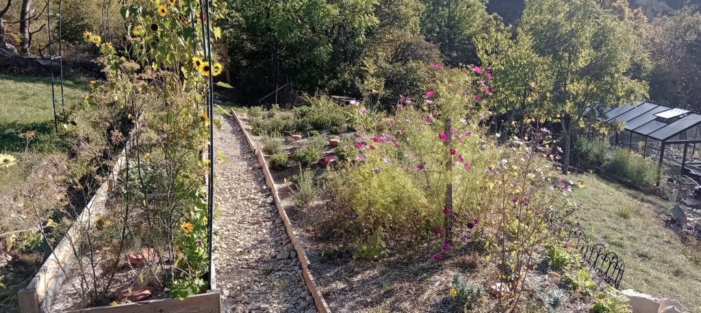 commencer un Jardin d'aromatiques