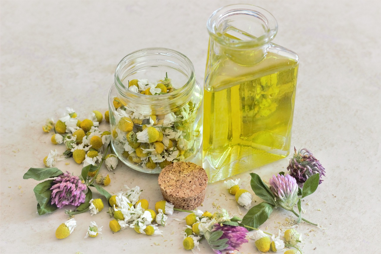 Comment cultiver et utiliser 5 Plantes Médicinales Incontournables!