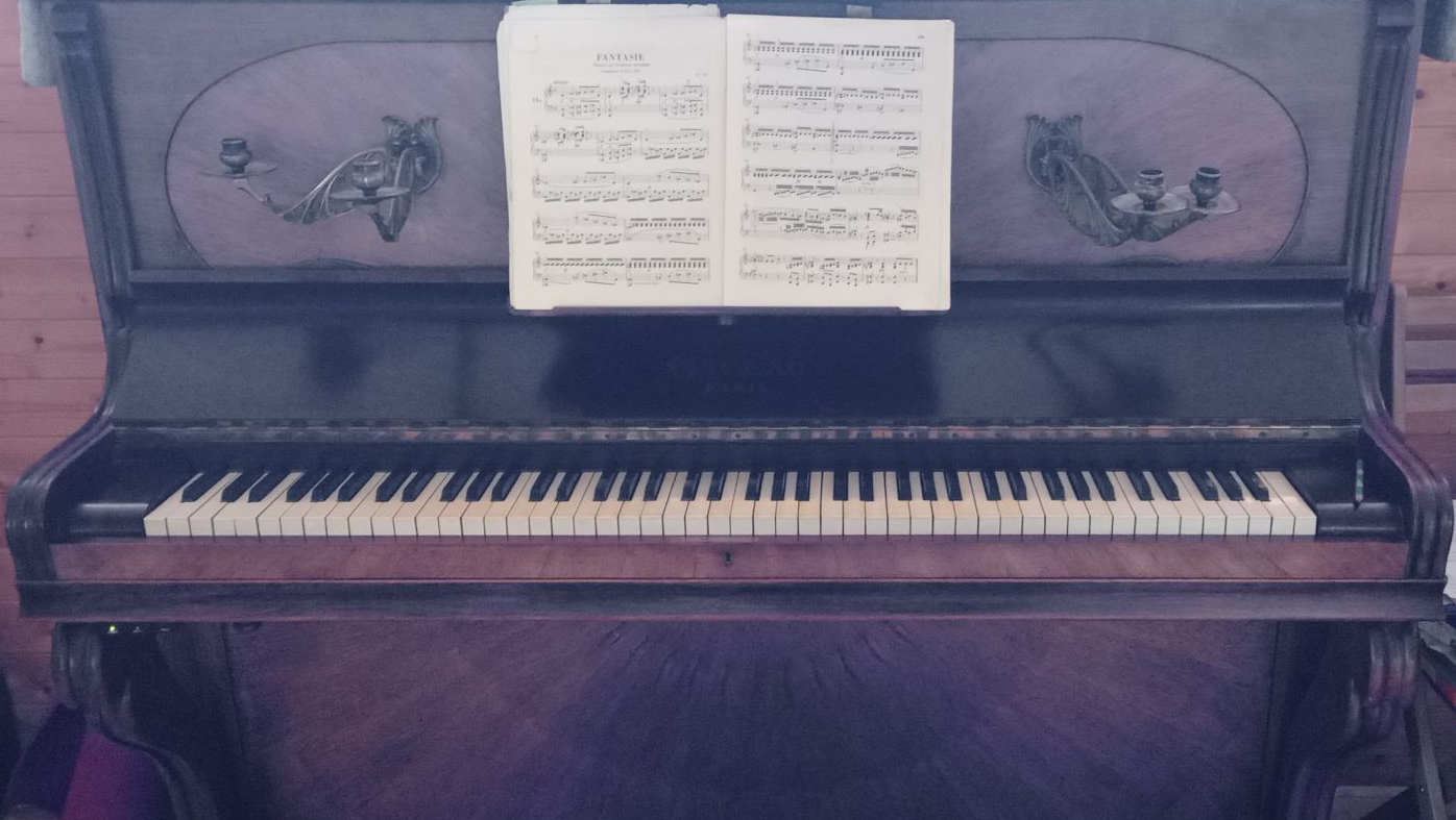 Musique et Plantes….