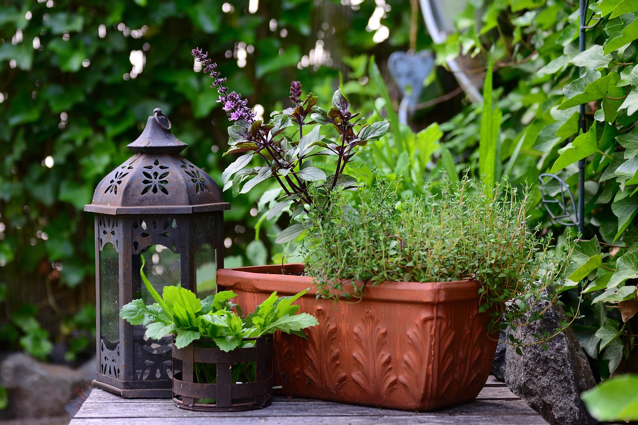 Petit Guide des Plantes Aromatiques pour un Jardin Autonome