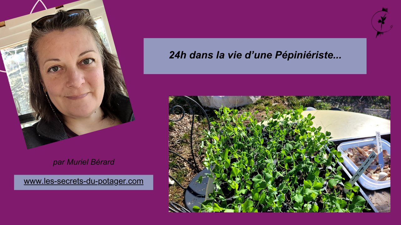 24 heures vers l&rsquo;Autonomie dans la vie d&rsquo;une femme…pépiniériste! »