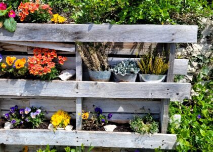 Comment cultiver facilement sur un balcon : le Guide pratique