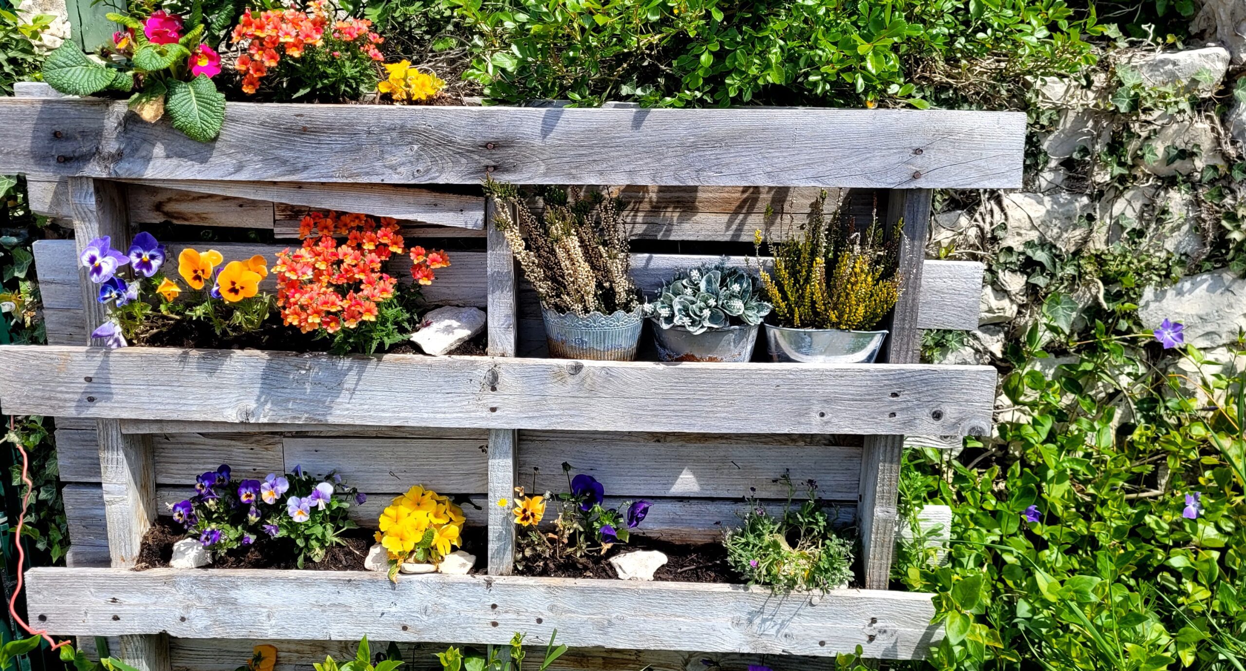 Comment cultiver facilement sur un balcon : le Guide pratique