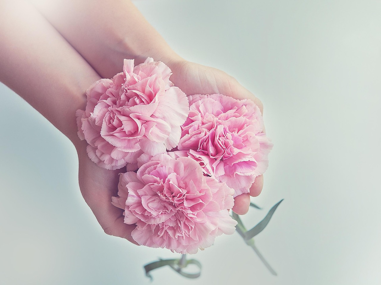 Reconnexion à sa Puissance Féminine : comment la Nature aide à cultiver Equilibre et Liberté