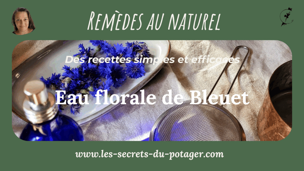 vidéo eau florale de Bleuet