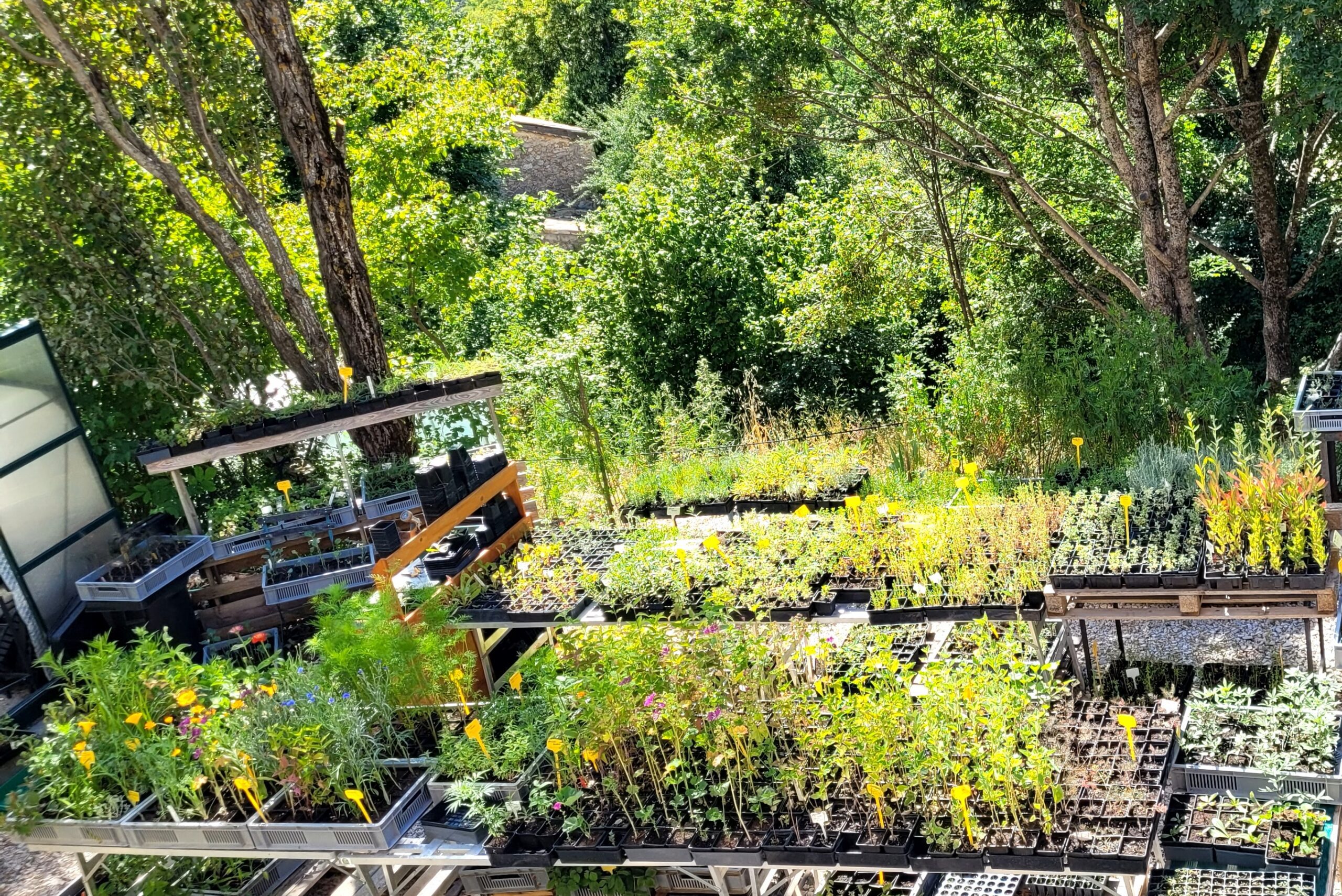 Cultiver la Vie : Leçons de Résilience et de Nature
