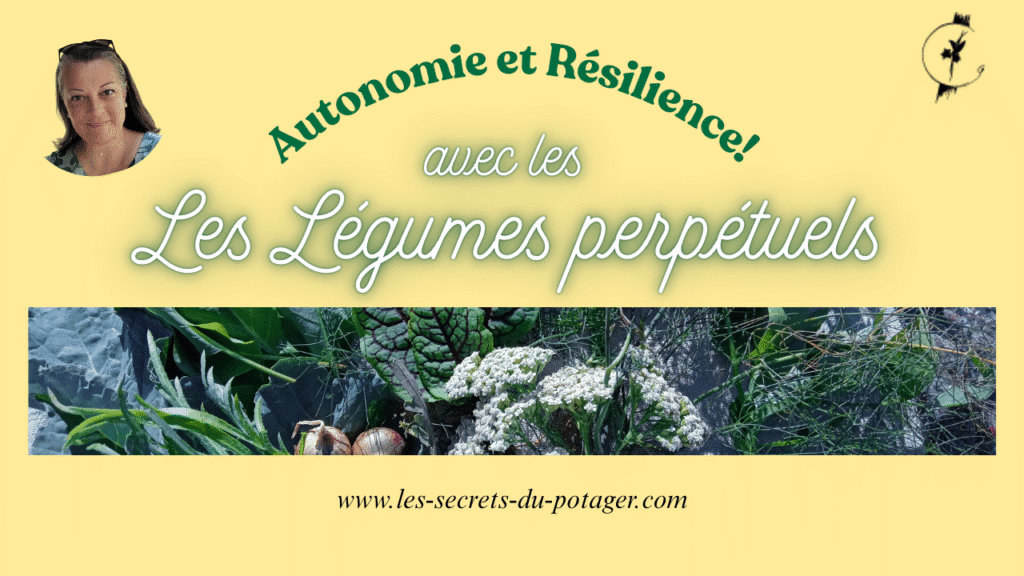 légumes perpétuels: nouvelle playlist