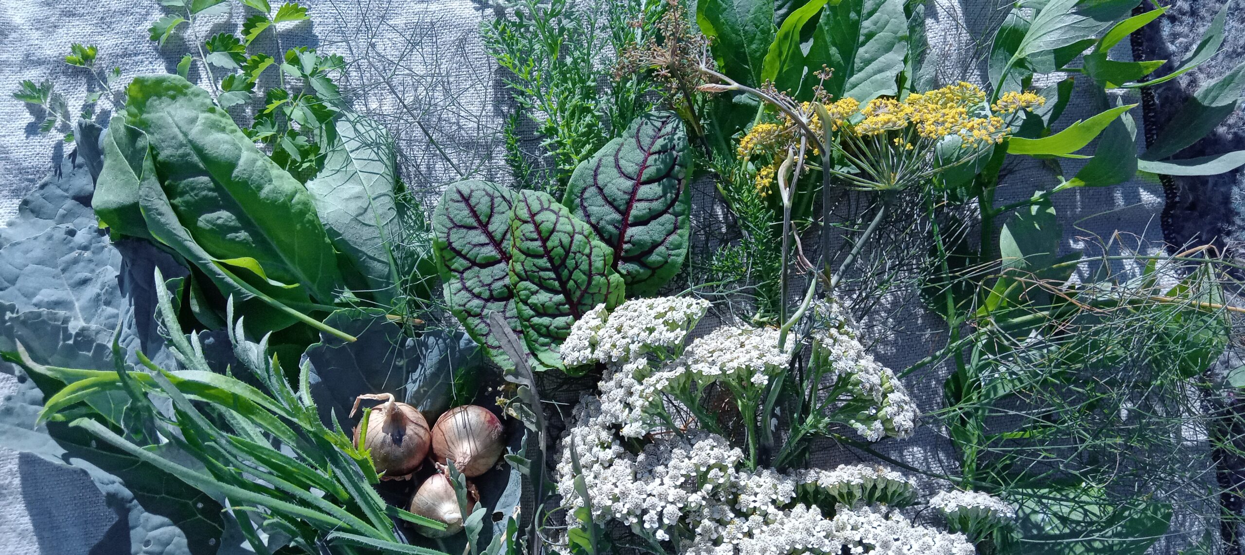 Les Légumes perpétuels: le Secret vers l&rsquo;Autonomie et l&rsquo;Abondance